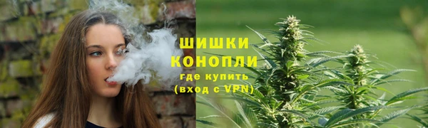 ПСИЛОЦИБИНОВЫЕ ГРИБЫ Балахна