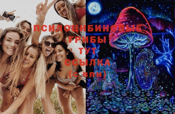 ПСИЛОЦИБИНОВЫЕ ГРИБЫ Балахна