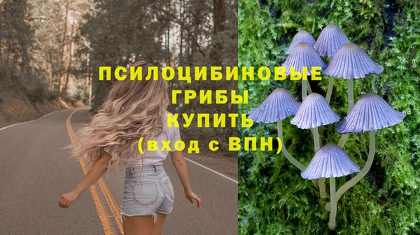 ПСИЛОЦИБИНОВЫЕ ГРИБЫ Балахна