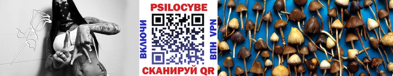 Галлюциногенные грибы Cubensis  Кумертау 